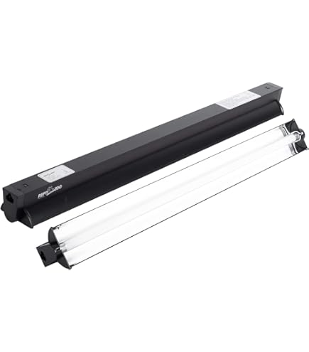 Amazon.com: Zoo Med 24 Watt T5 HO ReptiSun 10.0 UVB Lamp, 2pk
