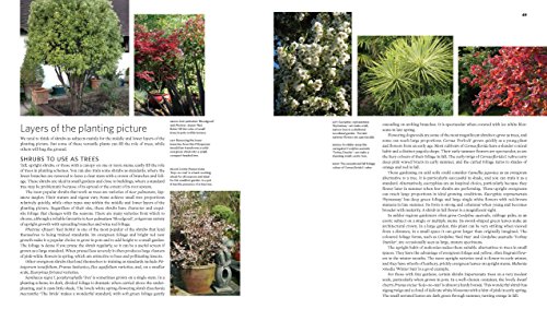 Creative Shrub Garden Eye Catching Combinations For Year - 
