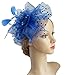 Cizoe Fascinators Hat for Women Tea Party Headband Kentucky Derby Wedding Flower Cocktail Mesh Feathers Hair Clip(1-Royal Blue)