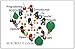 An Introduction to Parallel Programming with OpenMP, PThreads and MPI