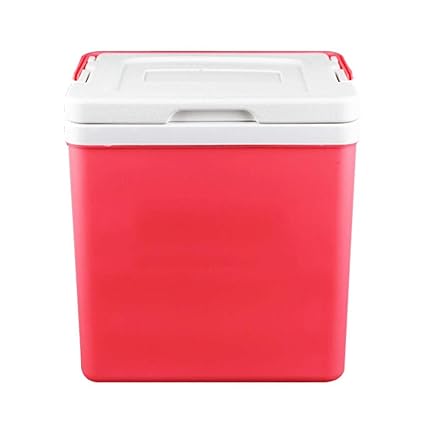 Amazon.es: iFlymisi Nevera Portátil, Nevera Termoeléctrica, Ideal ...