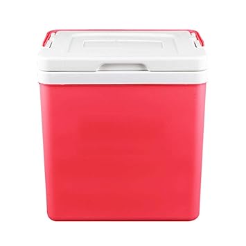 LiféUP Nevera portátil, Nevera termoeléctrica, Ideal para Coche ...