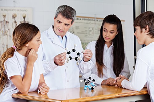 5 Organic+Chemistry+Pieces+Molecular+Instructional