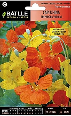 Semillas de Flores - Capuchina Trepadora variada - Batlle: Amazon ...