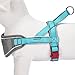 Blueberry Pet 8 Colors Soft & Comfy 3M Reflective Strips Padded Dog Harness Vest, Chest Girth 16.5