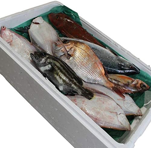 Amazon 鮮魚セット 送料無料 A 母の日 詰め合わせ 直送 ギフト ギフトセット 山形県庄内産 魚 さかな 食の都庄内 まるせん 鮮魚 通販