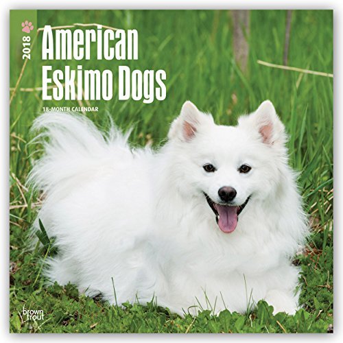 American Eskimo Dogs 2018 12 x 12 Inch Monthly Square Wall Calendar, Animals Dog Breeds American (English, French and Spanish Edition)