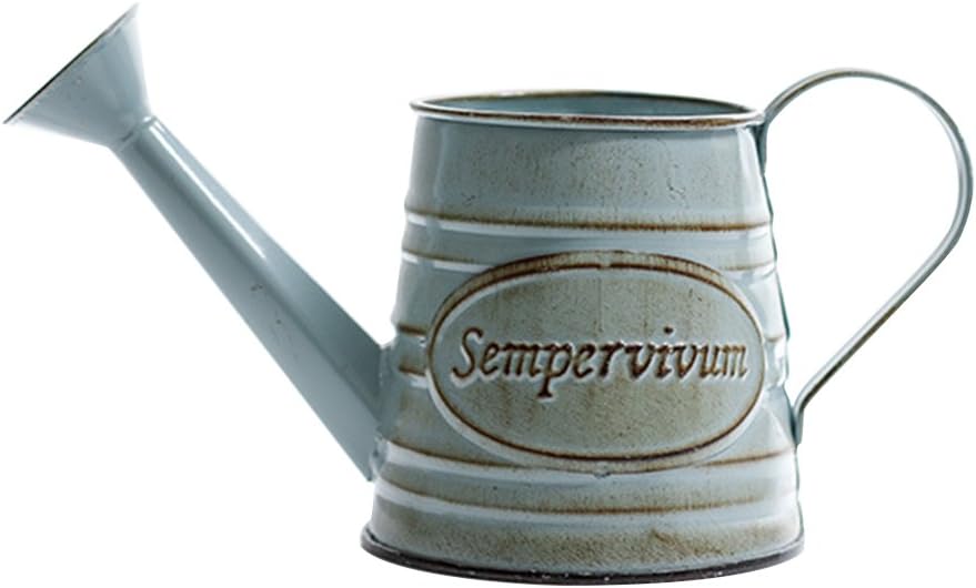 Bulary Vintage Iron Bucket with Handle, Rural Style Flower Pot Succulent Plants Container Shabby Vase Bucket Planter Home Balcony Garden Decor