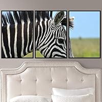 3 Piece Framed Canvas Wall Art Single Striped Animals Black and White Dramatic Modern Art for Living Room Bedroom - 16