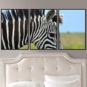 signwin 3 Piece Framed Canvas Wall Art Single...