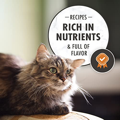 NUTRO WHOLESOME ESSENTIALS Senior Indoor Natural Dry Cat Food for