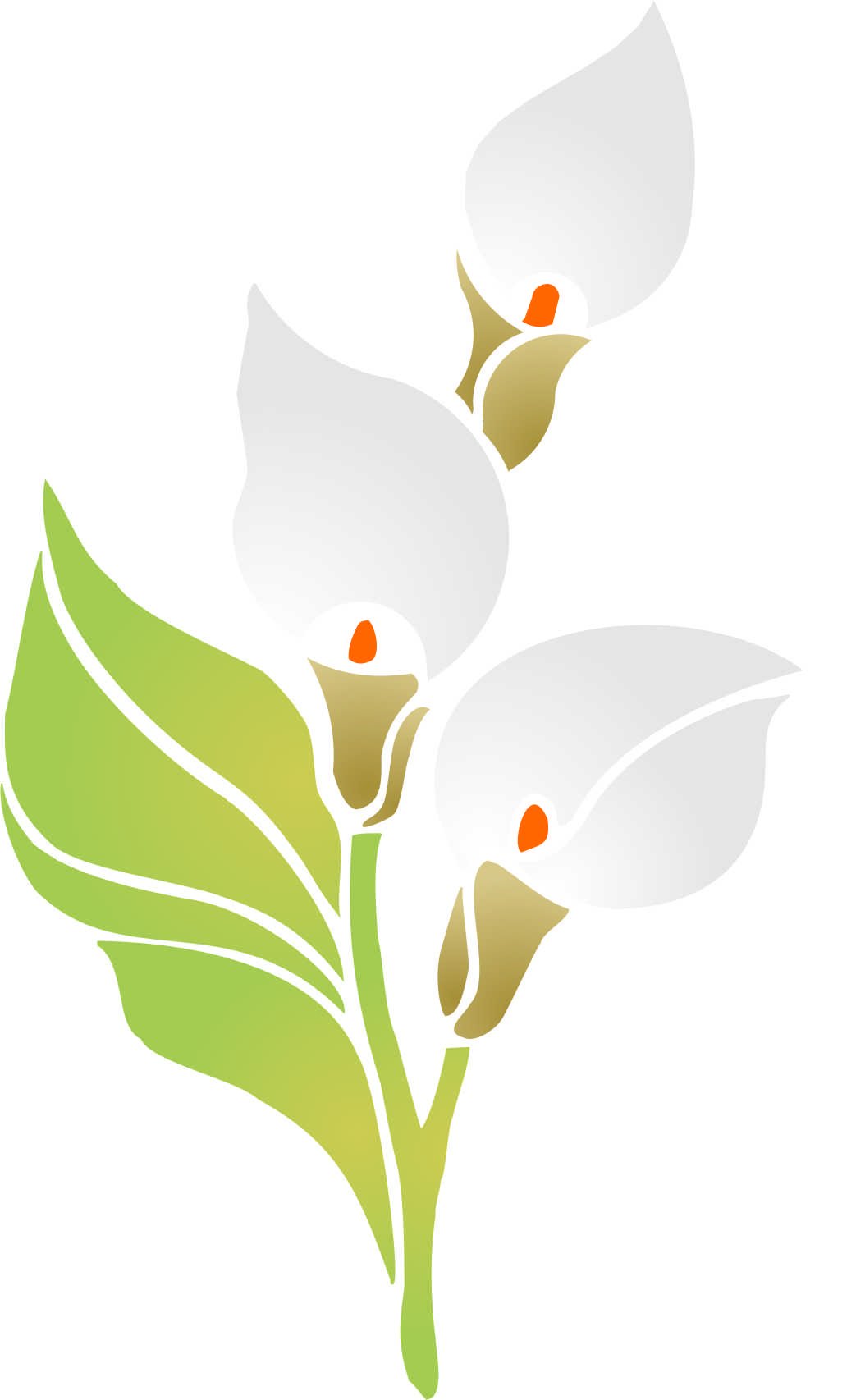 Arum Lily Stencil - 16.5 x 26.5cm - Reusable Flora Bouquet Calla Lily Wall Stencil Template