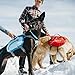 Kurgo Dog Saddlebag Backpack, Back Pack Dog Harness, Hiking Pack for Dogs, Packs for Pets to Wear, Camping & Travel Vest Harness, Reflective, Lightweight, Baxter Pack for Medium & Large Pets