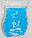 Scentsy Bar: Honeymoon Hideaway 3.2 fl oz