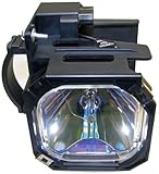 Mitsubishi 915P043010 Replacement Lamp w/Housing 6,000 Hour Life & 1 Year Warranty