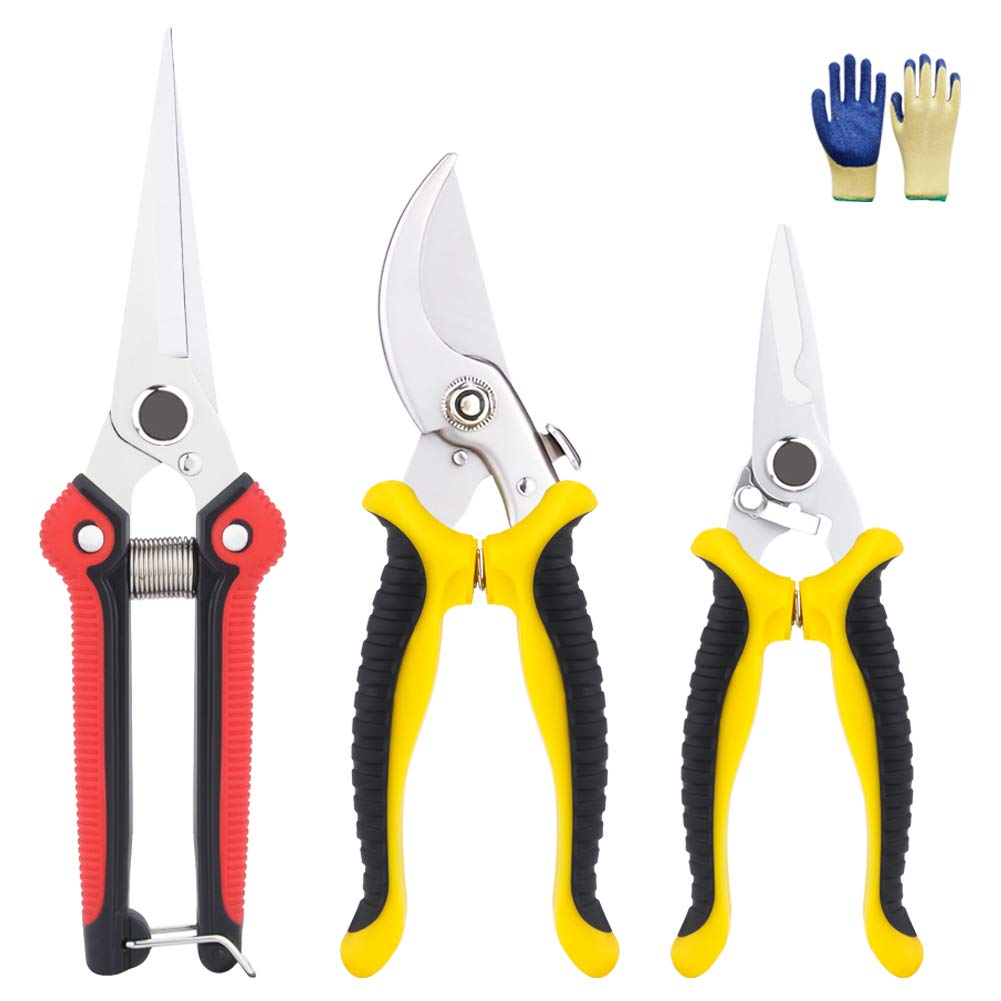 Buy Garden Secateurs, GEEDIAR Stainless Steel Pruning Shears, Pruning
