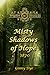 Misty Shadows Of Hope (#14 in the Bregdan Chronicles Historical Fiction Romance Series) by Ginny Dye