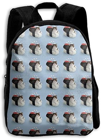 Boys Girls Sushi Cats Cute Magical Felines Popular Printing Toddler Pre School Backpack Bags Lightweight