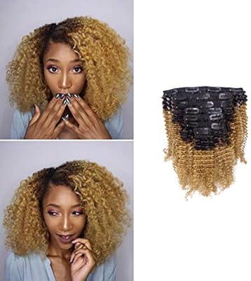 Loxxy Afro Kinky Curly Clip In Hair Extensions Remy Human Hair
