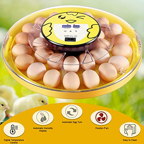 30 Eggs Incubator for Hatching Eggs of Chickens Pheasant Quail Birds, Clear Fully Automatic Egg