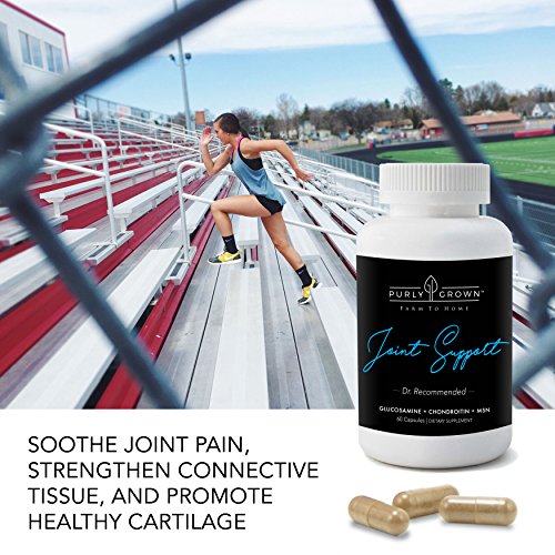 Glucosamine (500mg) Chondroitin (250mg) MSM Joint Supplements Daily