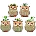 Ascrafter 5 Pcs 2.5 inch Ceramic Owl Succulent Planter Pot Succulent Container, Cactus Plant Pot, Mini Flower Pot With Holes