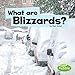 What Are Blizzards? (Wicked Weather)