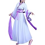 Women's Chinese Hanfu Dress Han Dynasty Costume