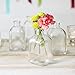 Glassnow C6054-N Roma Glass Bottle, 8.5 oz, Clear, 12 Pieces