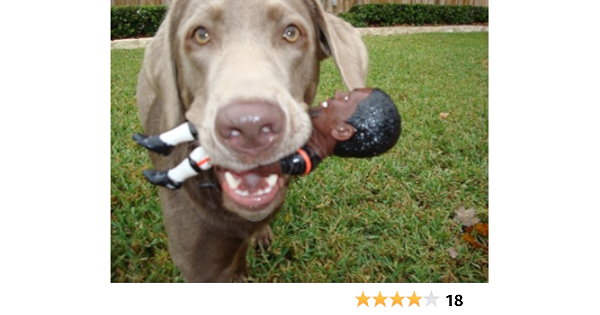 michael vick dog toy
