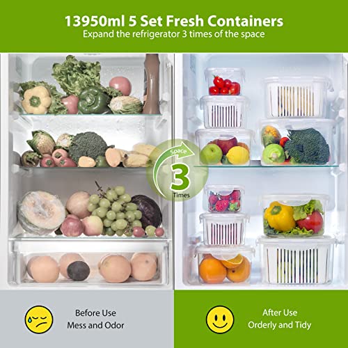 Luxear Produce Contenedores de Almacenamiento sin Bpa, Almacenamiento de Verduras y Frutas Frescas con Sistema de Control de Ventilacion y Division Ajustable, 5 Contenedores 0.7+1.35+2.3+3.8+5.8 L, Blanco