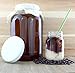 Solstice One Gallon Cold Brew Coffee Maker, Stainless Steel Fine Mesh Filter & Glass Gallon Jar w/Lid (Filter & Jar)