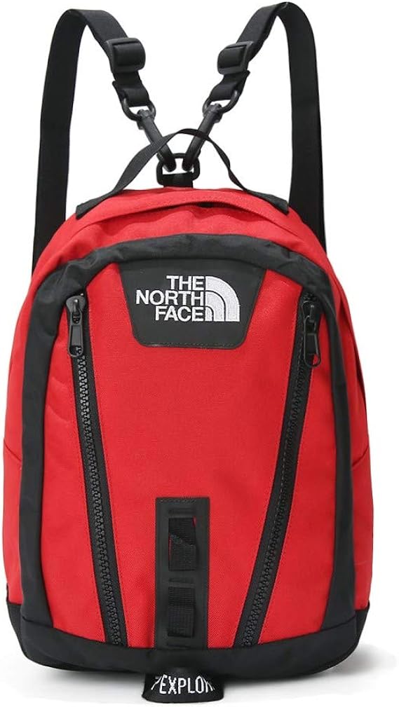 the north face mini backpack