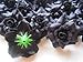 (24) Silk Black Roses Flower Head - 1.75