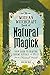 The Modern Witchcraft Book of Natural Magick: Your Guide to Crafting Charms, Rituals, and Spells from the Natural World (Modern Witchcraft Magic, Spells, Rituals)
