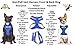Service Dog Blue Color Coded Waterproof Padded Adjustable Non Pull Front and Back Ring Alert Warning Small or Medium Vest Dog Harness Prevents Accidents By Warning Others of Your Dog in Advance (Medium Vest Harness)