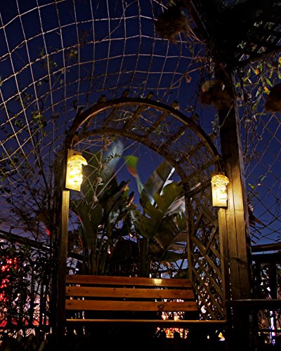 2 HOMKO+Decorative+Decorations+6+Hour+Flowers