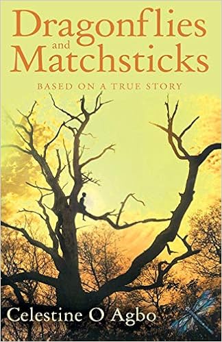 Buy Dragonflies And Matchsticks Book Online At Low Prices In India