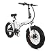 ECOTRIC Fat Tire Folding Electric Bike Beach Snow Bicycle 20″ Ebike 500W Electric Moped Electric Mountain Bicycles 36V 12Ah Removable Lithium Batterythumb 1