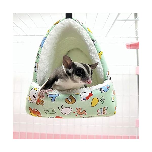 LiféUP Amaca Invernale per Animali Guinea Guinea, Maiale Coniglio Coniglio Riccio Zucchero aliante Scoiattolo Criceto… LifeUp LiféUP Amaca Invernale per Animali Guinea Guinea, Maiale Coniglio Coniglio Riccio Zucchero aliante Scoiattolo Criceto…