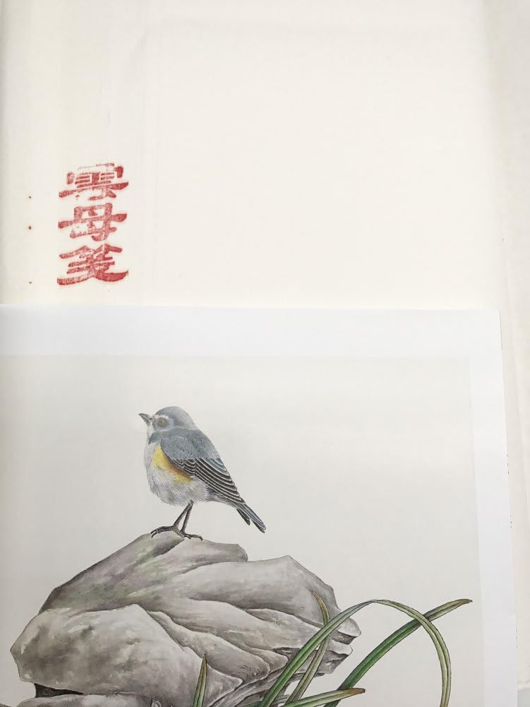 Easyou Sumi Paper Ripe Xuan Paper Sumi Paper for Chinese Japaness Painting in Meticulous Style Claborate-Style Painting 46cmx70cm(18.1"x27.6"); 50sheets/Pack