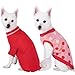 Blueberry Pet Pack of 2 Winter Coziness Warm Tone Dog Sweaters with Polka Dot and Classic Cable Knit Pattern, Back Length 16