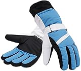 Simplicity Men's 3M Thinsulate Winter Waterproof Ski Gloves,Blue White Black,M