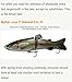 7in Glide Bait/ Swimbait - DISCO SHAD (Exclusive) - Multi Jointed Segmented Trout Gizzard Threadfin Fishing Life Like Hard Lure For Bass Pike Muskie for Casting And Trolling in Fresh Water or Ocean