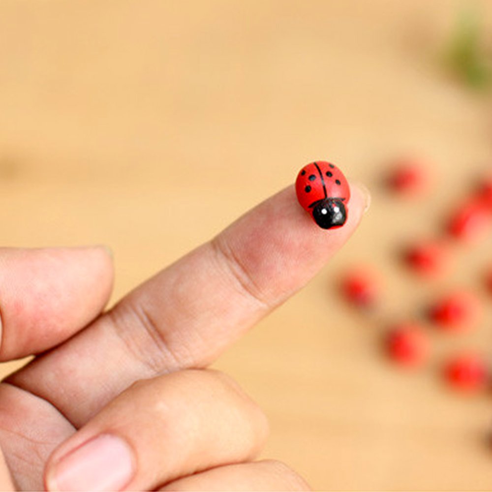 DEKOWEAR Ladybirds with glue point 100 pieces for Decorating from Wood, Red or Colored, 11 mm as Luck Beetle - Handmade Lucky Charm Ladybug (Colored)