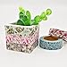 Antner 12 Rolls Floral Washi Tape Decorative Masking Tape Japanese Paper Tapes for DIY Projects Arts Crafts Scrapbooks Journaling and Calendar