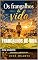 Livro Frangalhos de vida