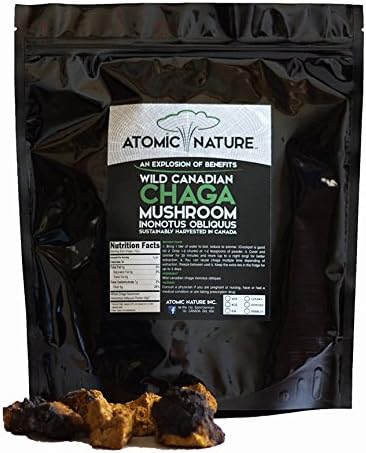 16 Onces Raw Organic Chaga Mushroom Tea Chunks By Atomic Nature – 100% Natural Hand-Harvested Canadian Forest Chaga Superfood, Healthy Immune System Booster & Antioxidant, Perfect Size For Brewing