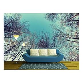 The Line of Trees Against The Clean Sky. - Removable Wall Mural | Self-Adhesive Large Wallpaper - 66x96 inches