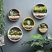 Modern Indoor Succulent Planter Metal Iron Circle Round Wall Hanging Planter (Pack of 3, White)thumb 1